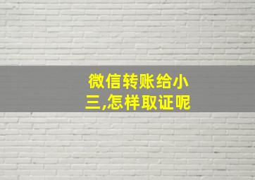 微信转账给小三,怎样取证呢