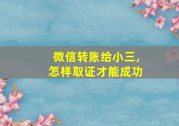 微信转账给小三,怎样取证才能成功