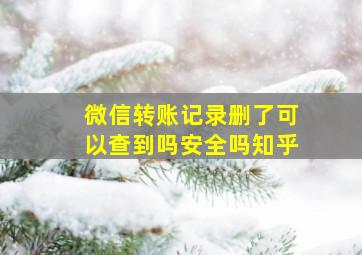 微信转账记录删了可以查到吗安全吗知乎