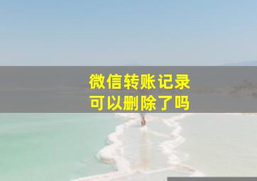 微信转账记录可以删除了吗