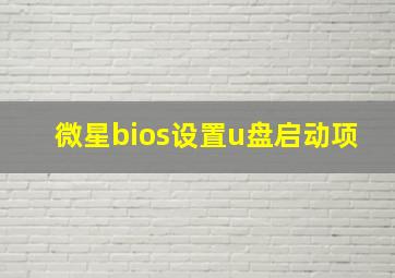 微星bios设置u盘启动项