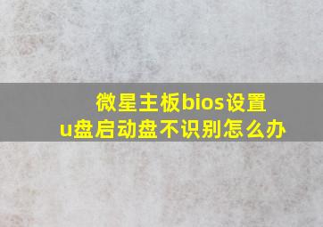 微星主板bios设置u盘启动盘不识别怎么办