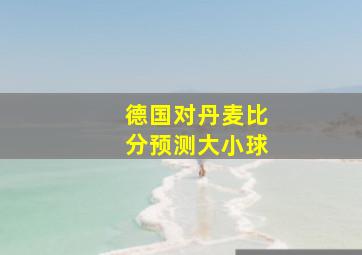 德国对丹麦比分预测大小球