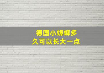 德国小蟑螂多久可以长大一点