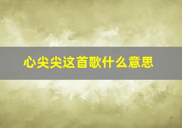 心尖尖这首歌什么意思