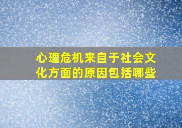 心理危机来自于社会文化方面的原因包括哪些