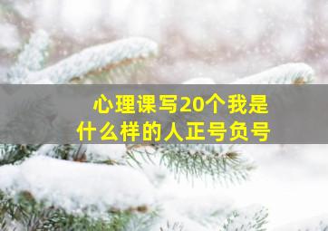 心理课写20个我是什么样的人正号负号