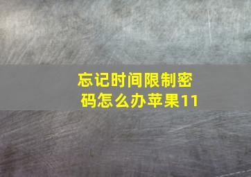 忘记时间限制密码怎么办苹果11