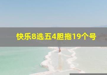 快乐8选五4胆拖19个号