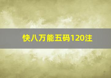 快八万能五码120注