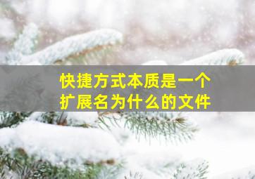 快捷方式本质是一个扩展名为什么的文件