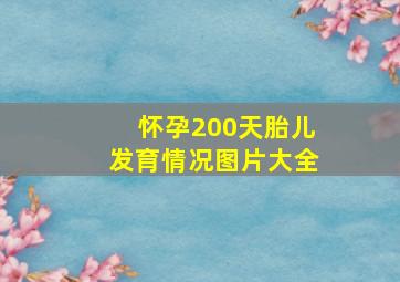 怀孕200天胎儿发育情况图片大全