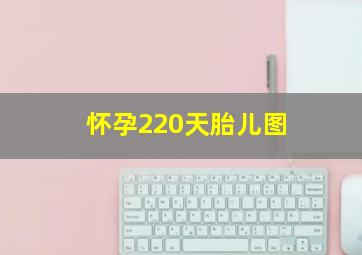 怀孕220天胎儿图