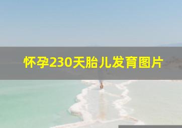 怀孕230天胎儿发育图片