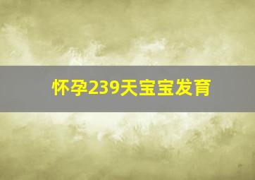 怀孕239天宝宝发育