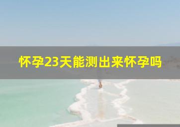 怀孕23天能测出来怀孕吗