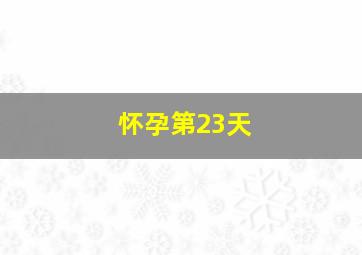 怀孕第23天