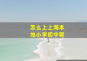 怎么上上海本地小学初中呢