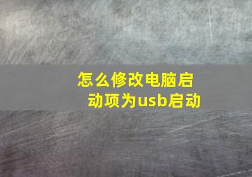 怎么修改电脑启动项为usb启动