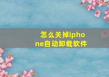 怎么关掉iphone自动卸载软件