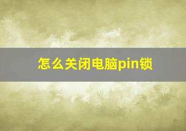 怎么关闭电脑pin锁