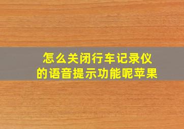 怎么关闭行车记录仪的语音提示功能呢苹果