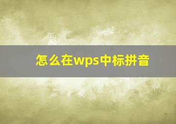 怎么在wps中标拼音