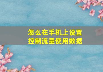 怎么在手机上设置控制流量使用数据