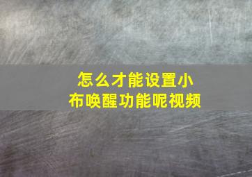 怎么才能设置小布唤醒功能呢视频