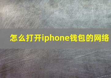 怎么打开iphone钱包的网络