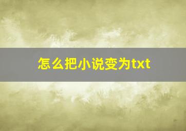 怎么把小说变为txt