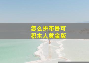 怎么拼布鲁可积木人黄金版