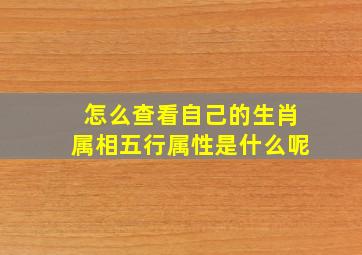 怎么查看自己的生肖属相五行属性是什么呢