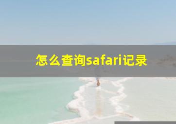 怎么查询safari记录