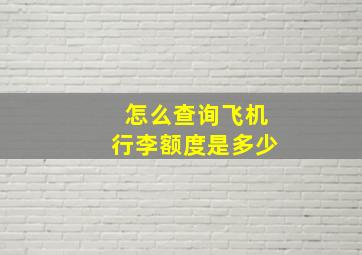 怎么查询飞机行李额度是多少