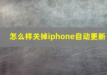 怎么样关掉iphone自动更新