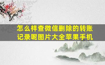 怎么样查微信删除的转账记录呢图片大全苹果手机