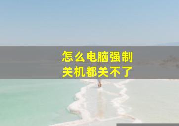 怎么电脑强制关机都关不了