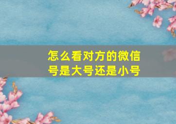 怎么看对方的微信号是大号还是小号