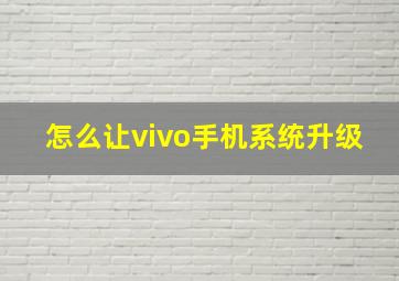 怎么让vivo手机系统升级