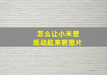 怎么让小米壁纸动起来呢图片