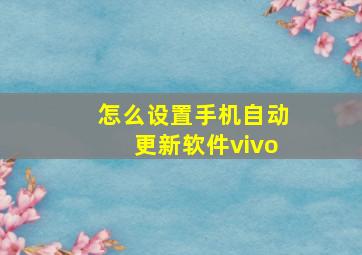 怎么设置手机自动更新软件vivo