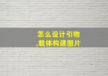 怎么设计引物,载体构建图片