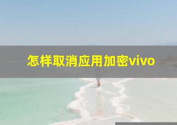 怎样取消应用加密vivo