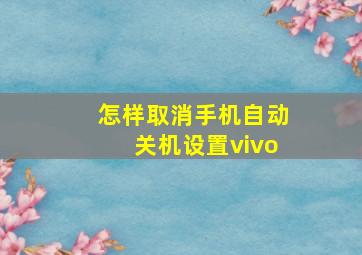 怎样取消手机自动关机设置vivo