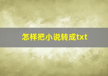 怎样把小说转成txt