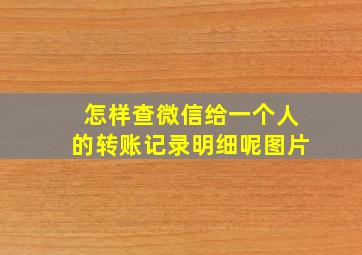 怎样查微信给一个人的转账记录明细呢图片