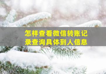 怎样查看微信转账记录查询具体到人信息