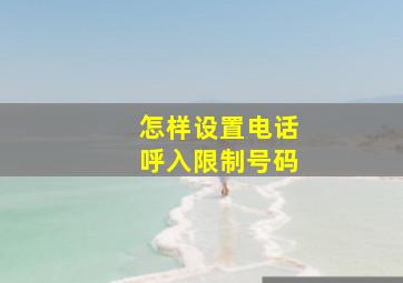 怎样设置电话呼入限制号码