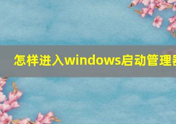 怎样进入windows启动管理器